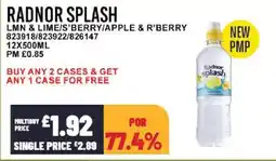 Bestway RADNOR SPLASH Lmn & lime/s'berry/apple & r'berry offer