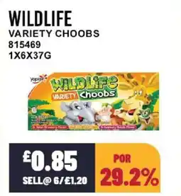 Bestway WILDLIFE Variety choobs offer