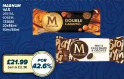Bestway Magnum offer