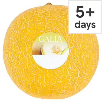 Tesco Tesco Galia Melon Each offer