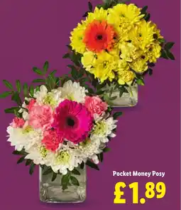 Lidl Pocket Money Posy offer