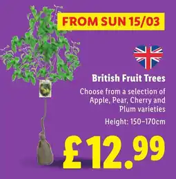 Lidl British Fruit Trees offer