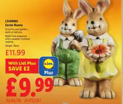 Lidl LIVARNO Easter Bunny offer