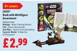 Lidl LEGO Book with Minifigure Assortment offer