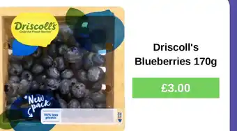 Driscoll's Blueberries