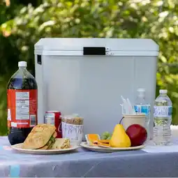 Costco Koolatron 12V Electric Cooler 27L, Cool/Warm Box with Adjustable Strap in Grey offer