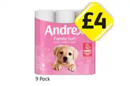 Londis Andrex offer