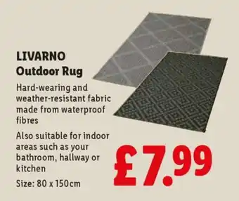 LIVARNO Outdoor Rug