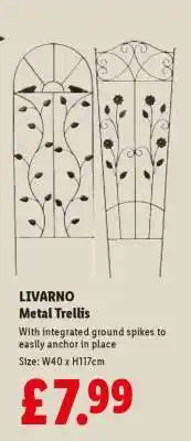 Lidl LIVARNO Metal Trellis offer