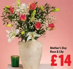 Lidl Mother's Day Rose & Lily offer