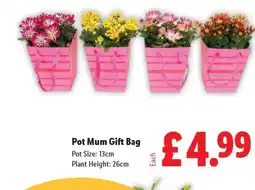 Lidl Pot Mum Gift Bag offer