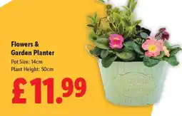 Lidl Flowers & Garden Planter offer