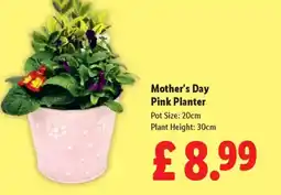 Lidl Mother's Day Pink Planter offer