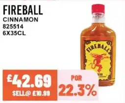Bestway FIREBALL Cinnamon offer