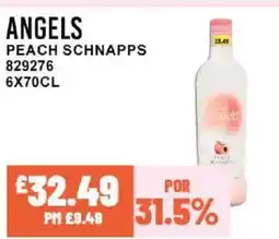Bestway ANGELS Peach schnapps offer
