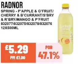 Bestway RADNOR Spring - p'apple & g'fruit/ cherry & b'currant/s'bry & r'bry/mango & p'fruit offer
