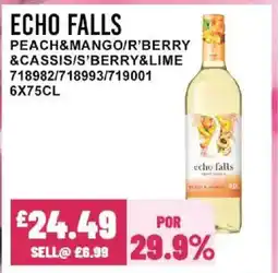 Bestway ECHO FALLS Peach&mango/r'berry &cassis/s'berry&lime offer