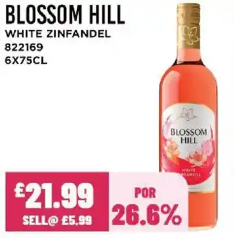 Bestway BLOSSOM HILL White zinfandel offer
