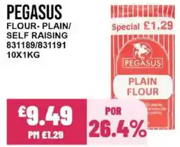 Bestway PEGASUS Flour-plain/ self raising offer
