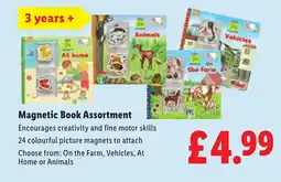 Lidl Magnetic Book Assortment offer