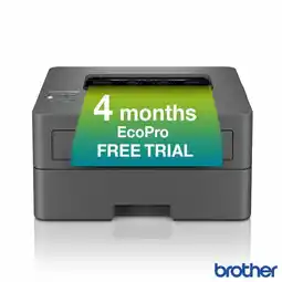 Costco Brother Mono Laser Printer, HL-L2400DWE offer