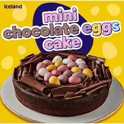 Iceland Iceland Mini Chocolate Eggs Cake 450g offer