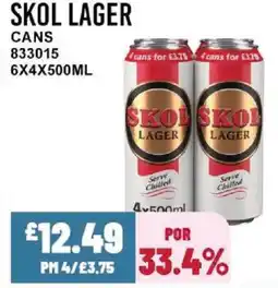 Bestway SKOL LAGER Cans offer