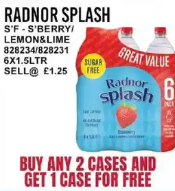 Bestway RADNOR SPLASH S'f s'berry/ lemon&lime offer