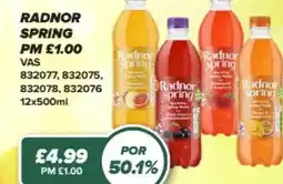 Bestway Radnor spring offer