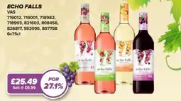 Bestway Echo falls offer