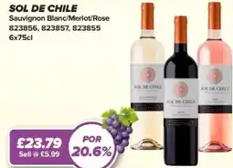Bestway SOL DE CHILE Sauvignon Blanc/Merlot/Rose offer