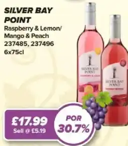 Bestway SILVER BAY Point Raspberry & Lemon/ Mango & Peach offer