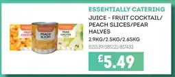 Bestway Essentially Catering Juice - Fruit Cocktail/Peach Slices/Pear Halves offer