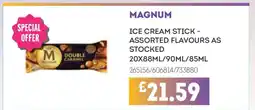 Bestway Magnum offer