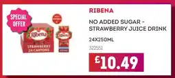 Bestway RIBENA offer
