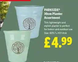 Lidl PARKSIDE 30cm Planter Assortment offer