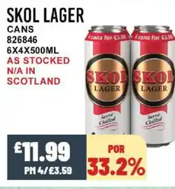 Bestway SKOL LAGER Cans offer