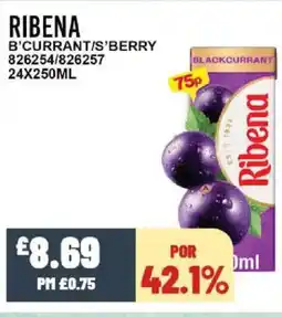 Bestway RIBENA B'currant/s'berry offer