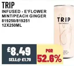 Bestway TRIP Infused - e'flower mint/peach ginger offer