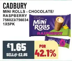 Bestway CADBURY Mini rolls - chocolate/ raspberry offer