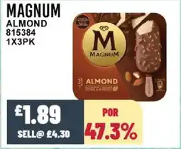 Bestway MAGNUM Almond offer