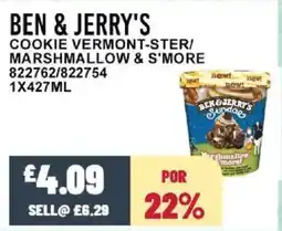 Bestway BEN & JERRY'S Cookie vermont-ster/ marshmallow & s'more offer