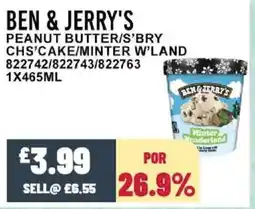 Bestway BEN & JERRY'S Peanut butter/s'bry chs'cake/minter w'land offer
