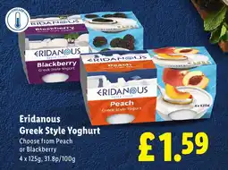 Lidl Eridanous Greek Style Yoghurt offer
