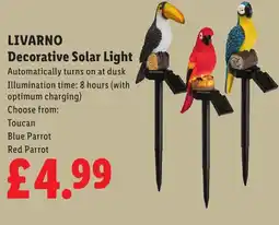 Lidl LIVARNO Decorative Solar Light offer