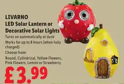 Lidl LIVARNO LED Solar Lantern or Decorative Solar Lights offer