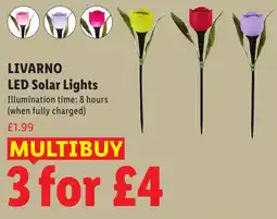 Lidl LIVARNO LED Solar Lights offer