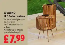 Lidl LIVARNO LED Solar Lantern offer