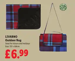 Lidl LIVARNO Outdoor Rug offer