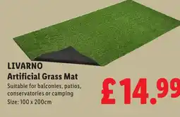 Lidl LIVARNO Artificial Grass Mat offer
